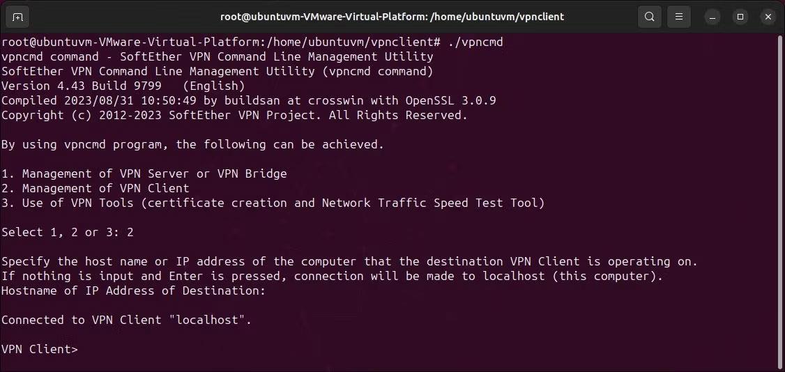 Come configurare SoftEther VPN tramite client HTTPS su Windows e Linux