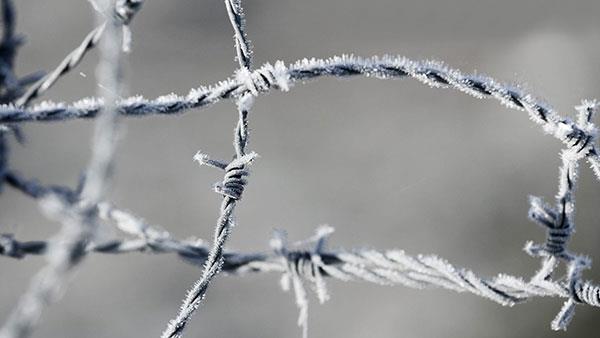 200 Full-HD-Desktop-Hintergründe, verschiedene Themen