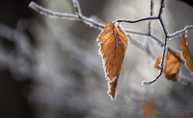 Raccolta di sfondi per computer inverno 2024