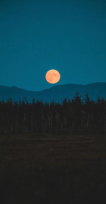 Sfondi lunari per telefoni, bellissimi sfondi mobili lunari