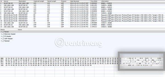 VPN 接続が実際に暗号化されているかどうかを確認する方法