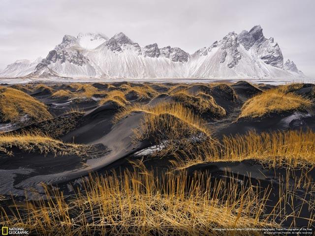 Téléchargez maintenant un ensemble unique de fonds d'écran sur des scènes de vie fournis par la chaîne de télévision National Geographic