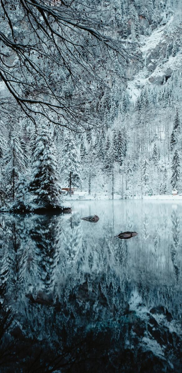 30 wunderschöne Hintergrundbilder für Telefone mit langem Bildschirm