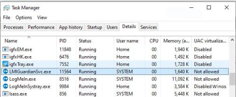 Was ist LMIGuardianSvc.exe? Ist es ein Virus?