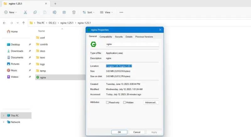 Come installare ed eseguire Nginx Server su Windows