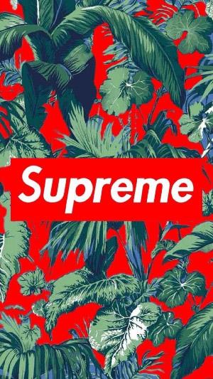 Supreme-Hintergründe, Supreme-Fotos für Handys