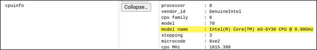 Istruzioni per visualizzare le informazioni sulla CPU del Chromebook