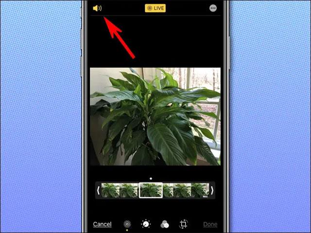 Comment séparer l'audio des Live Photos sur iPhone