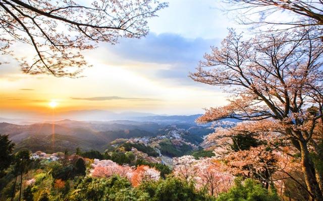 Windows 10에서 기본 오디오 장치 변경