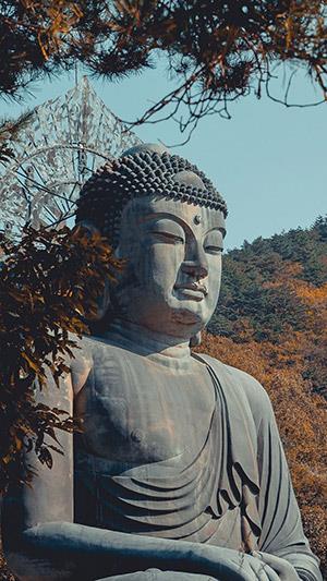 Sfondi di Buddha, bellissime immagini di Buddha per telefoni