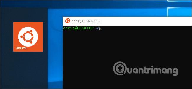 Все, что вы можете сделать с новой оболочкой Bash Shell в Windows 10