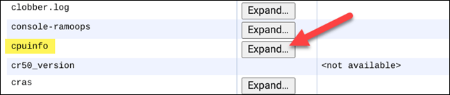 Istruzioni per visualizzare le informazioni sulla CPU del Chromebook