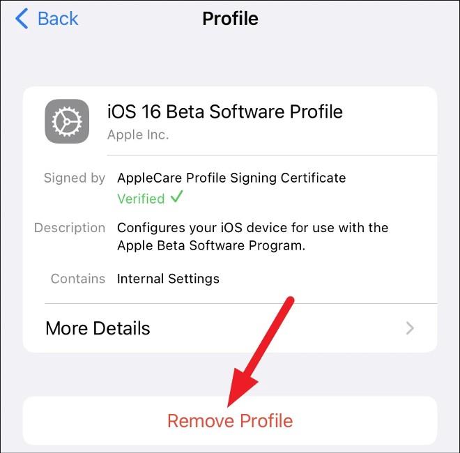 Come eseguire il downgrade da iOS 16 Beta 1 a iOS 15