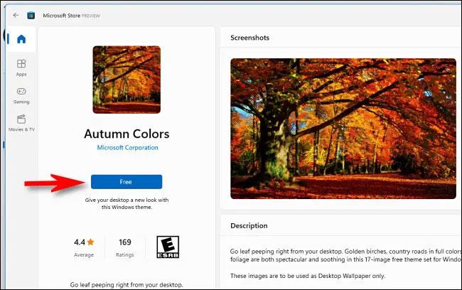 Comment changer le thème sur Windows 11