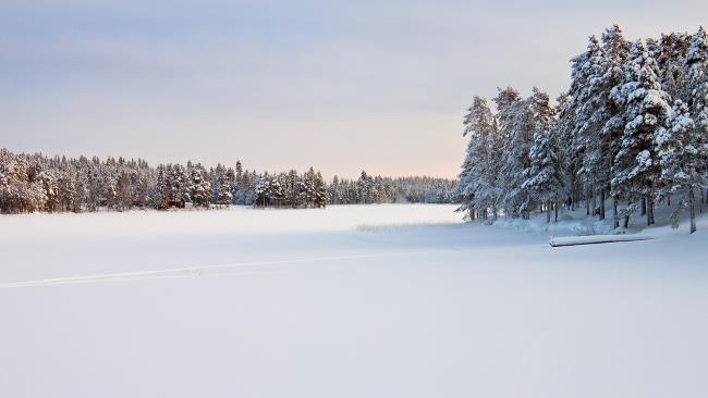 Set di bellissimi sfondi naturali di qualità 4K per computer