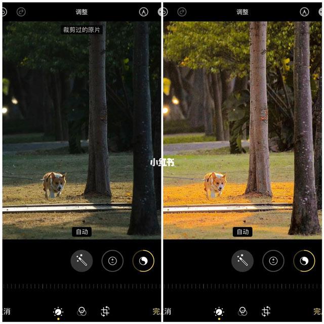 iPhone での超クールな写真編集方式