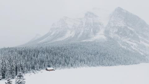 Set di bellissimi sfondi naturali di qualità 4K per computer