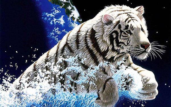 Sfondi tigre molto belli per computer, sfondi tigre per laptop