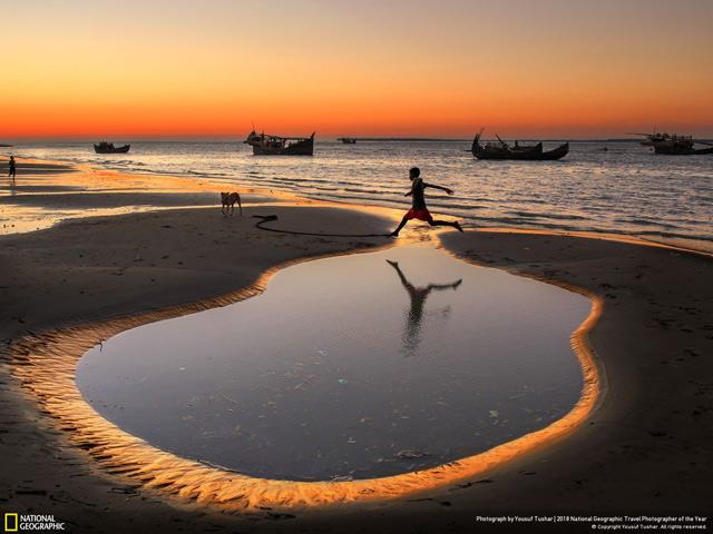 Scarica ora un set unico di sfondi sulle scene di vita forniti dal canale televisivo National Geographic