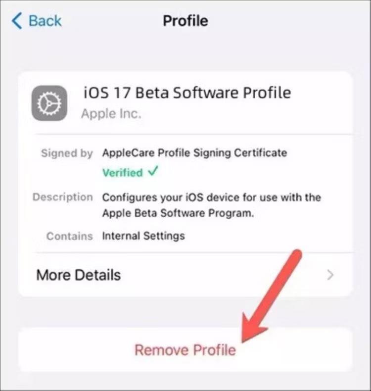 如何使用 Tenorshare Reiboot 從 iOS 17 降級到 iOS 16 而不丟失數據