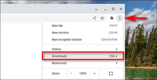 Come trovare la posizione dei file scaricati sul Chromebook