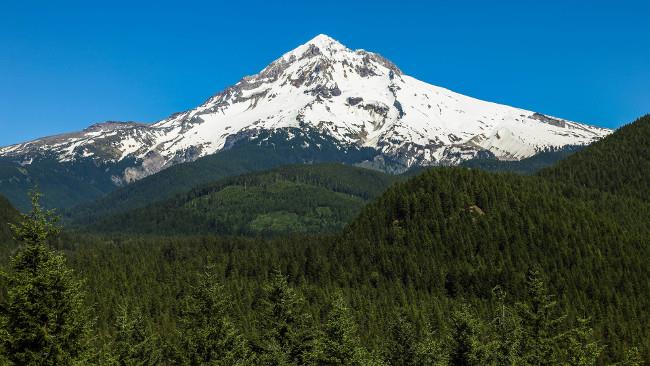 Set wunderschöner Natur-Hintergrundbilder in 4K-Qualität für Computer