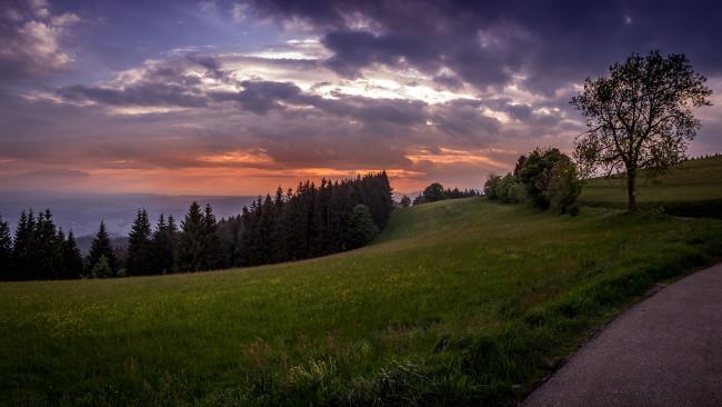 Set wunderschöner Natur-Hintergrundbilder in 4K-Qualität für Computer