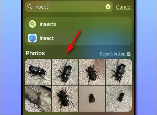 Come impedire che le immagini vengano visualizzate nei risultati di ricerca Spotlight su iPhone