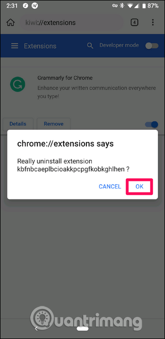 Comment installer l'extension Chrome sur Android