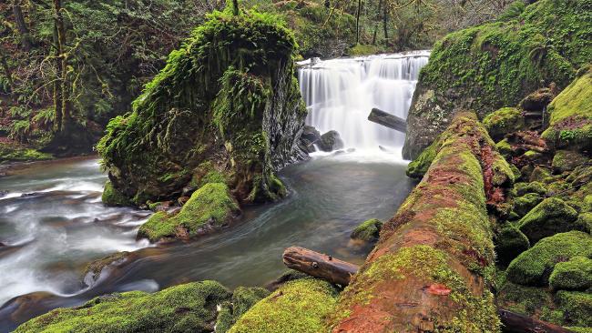 Set di bellissimi sfondi naturali di qualità 4K per computer