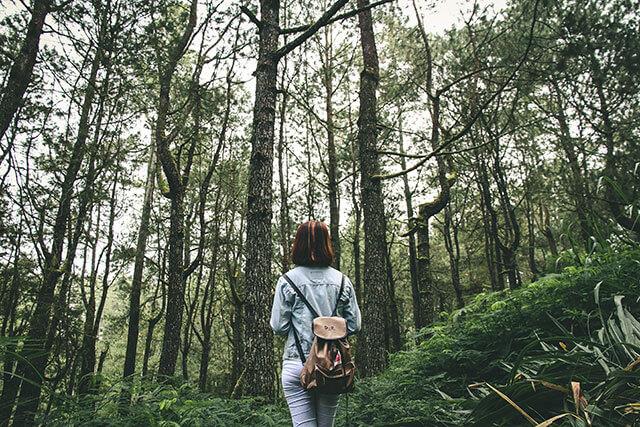 Rucksack-Hintergrundbilder, wunderschöne Rucksack-Hintergrundbilder für Computer