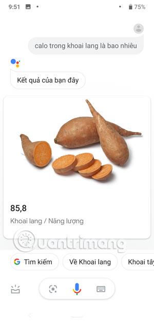 Nützliche vietnamesische Google Assistant-Befehle, die Sie verwenden können