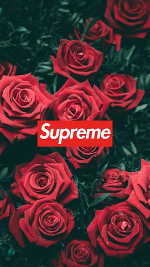 Supreme-Hintergründe, Supreme-Fotos für Handys