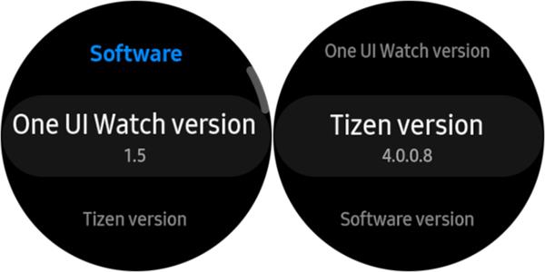 Differenze tra One UI e Tizen