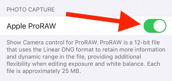 iPhone에서 ProRAW 모드로 사진을 찍는 방법