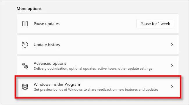 Come passare tra Dev Channel e Beta Channel su Windows 11