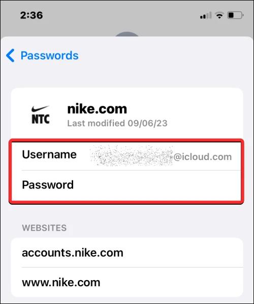 Come inviare la password dell'account nei messaggi iPhone