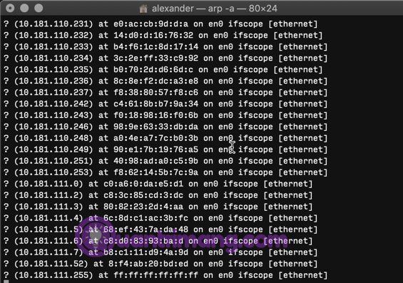 Comment analyser le réseau local avec Terminal sur macOS