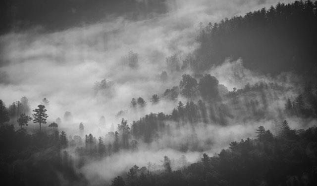 Collection de beaux fonds d'écran sombres pour ordinateurs